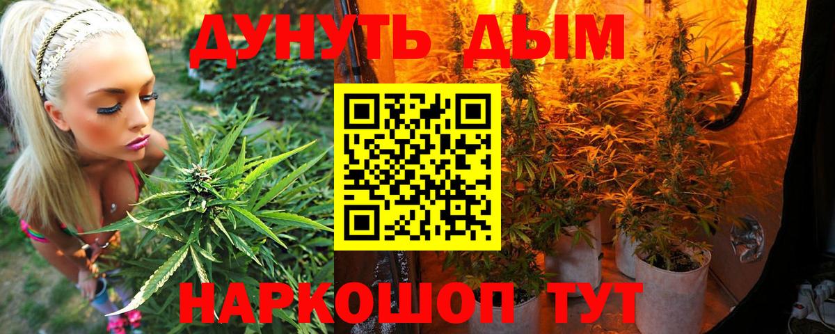 Лесной  Каннабис семена  Вход с VPN  Шишки марихуана White Widow 